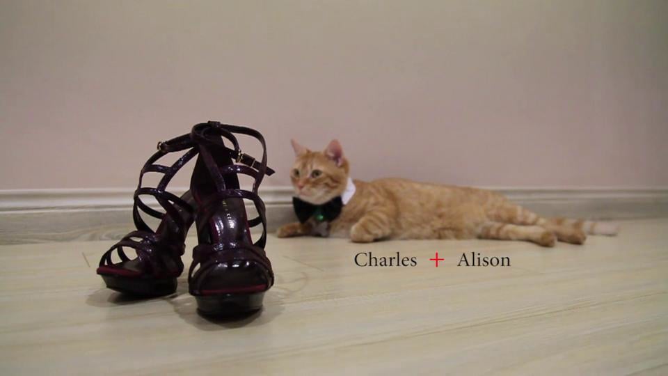 Charles + Alison’s Wedding Highlight