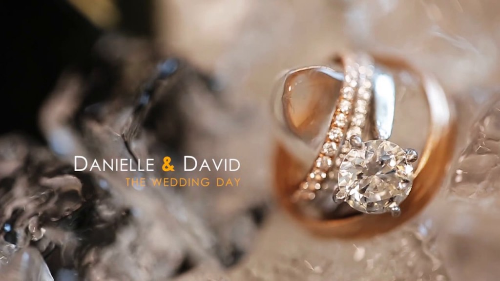 Danielle & David (SDE)